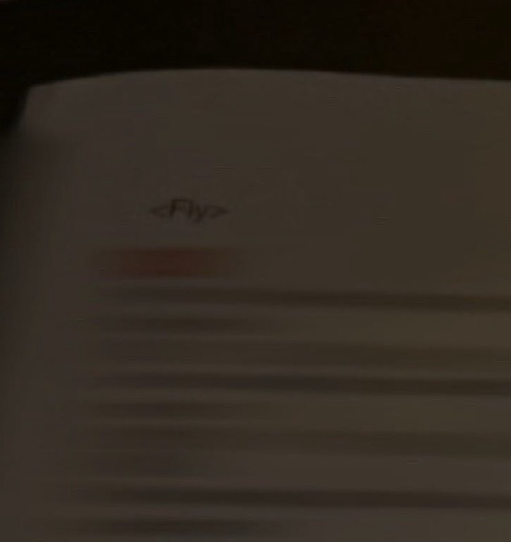 《Fly》…原来早都透露了