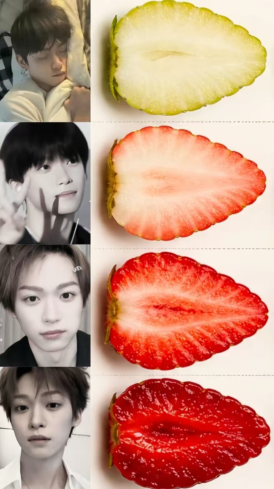啊啊啊啊过于美了 