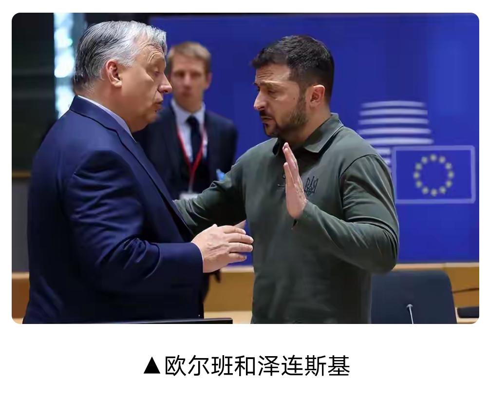 一边伸手求援，一边挥拳相向，何其荒唐
 
近日，乌克兰总统泽连斯基就欧盟援乌问题