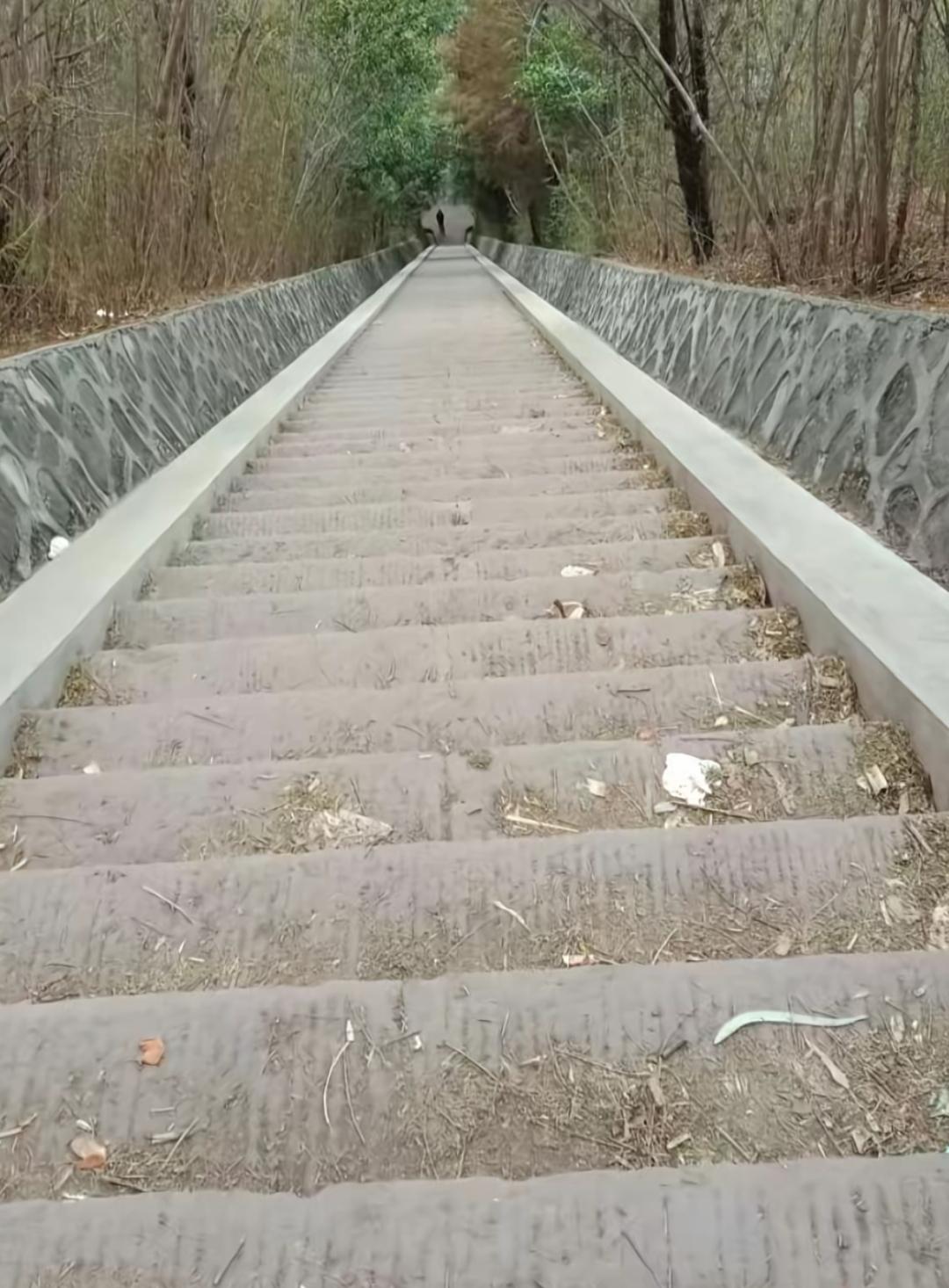 石阶通幽处，林间见古风。看看这个楼梯是上楼还是下楼？你还记得小时候在农村的生活吗