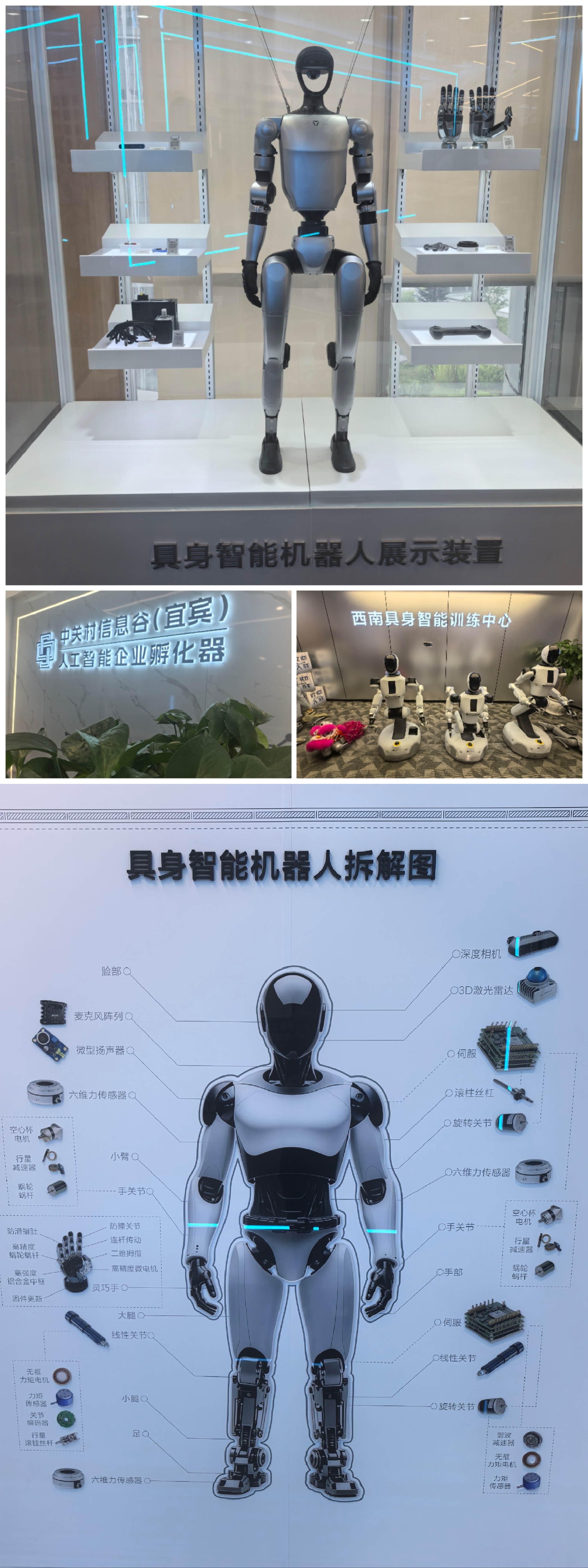 近年来，宜宾市依托长江区位、产业积淀，跳出依靠白酒、矿产的传统产业，以锂电光伏新