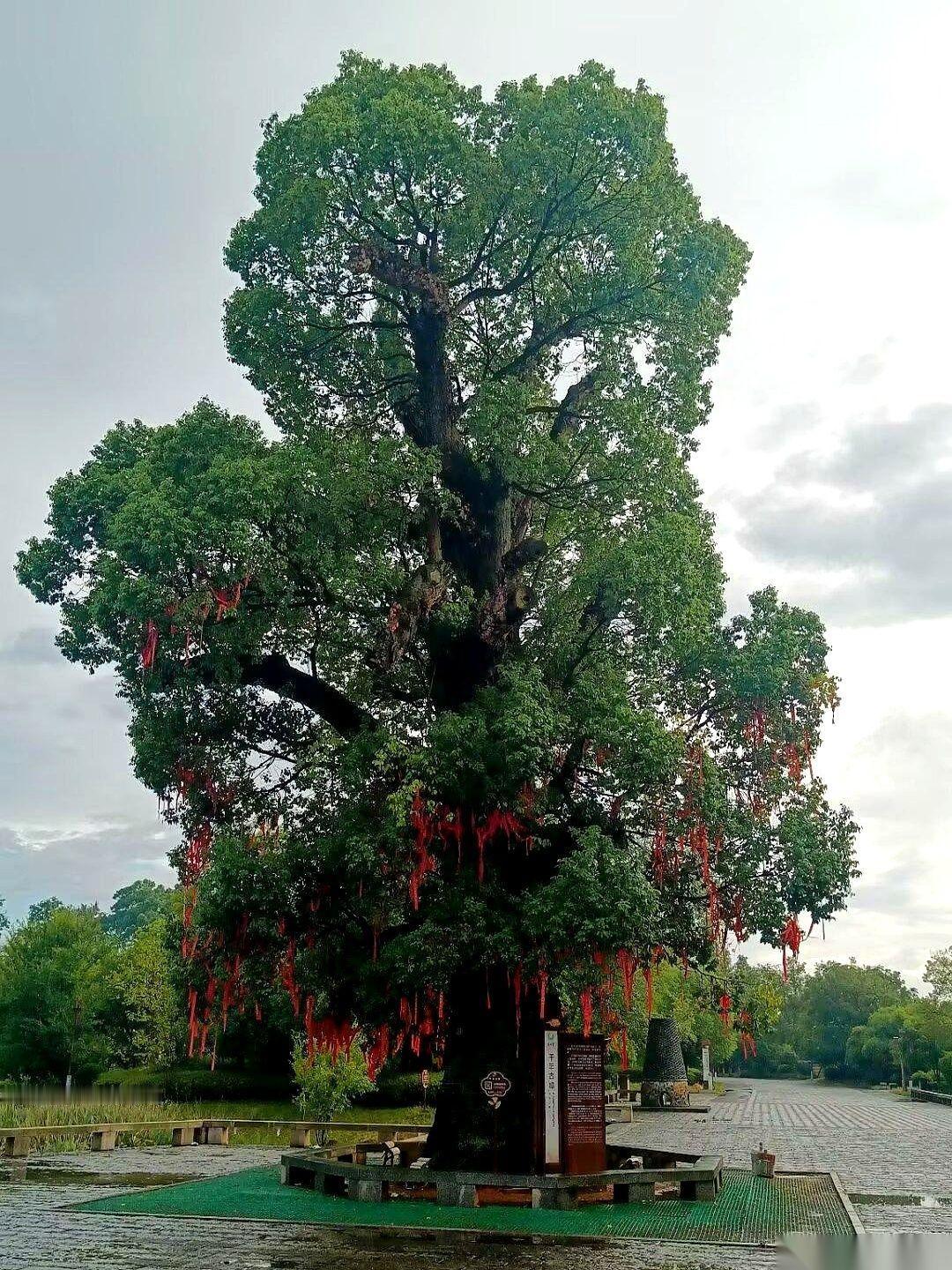 都说南街村好，让你去，你真去吗？
别急着回答。
我给你说个最扎心的大白话你就懂了