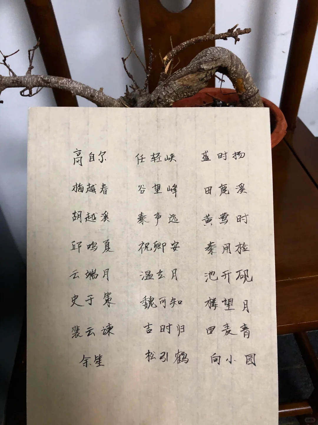 奶奶是懂起名字