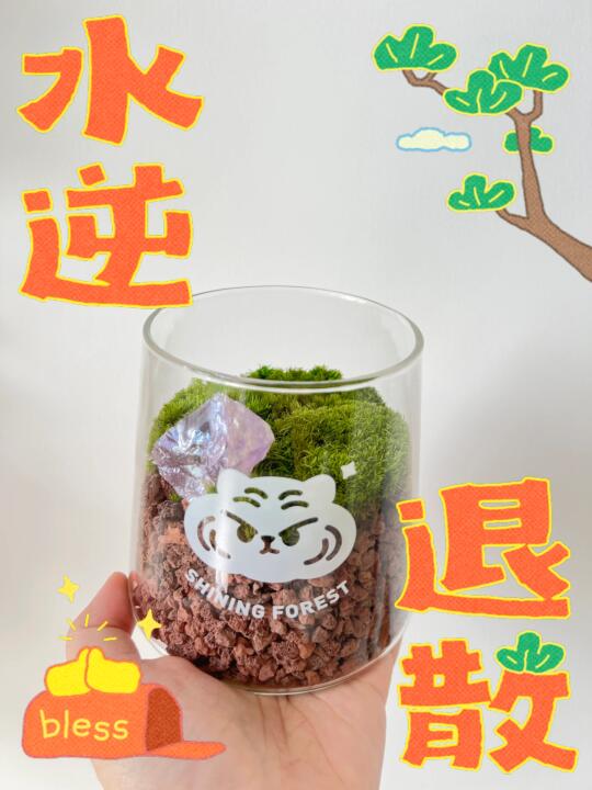 听劝❗️deepseek让我摆紫水晶🔮