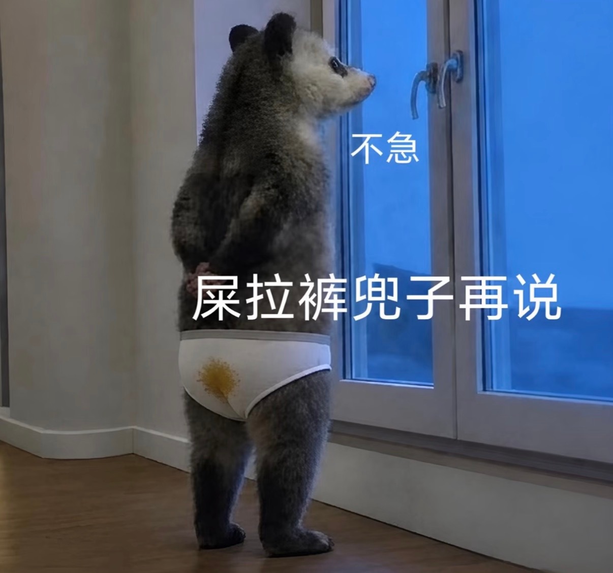 都在做发财的美梦，什么假如二十年前买了茅台股票，假如几年前买了特斯拉股票，假如一