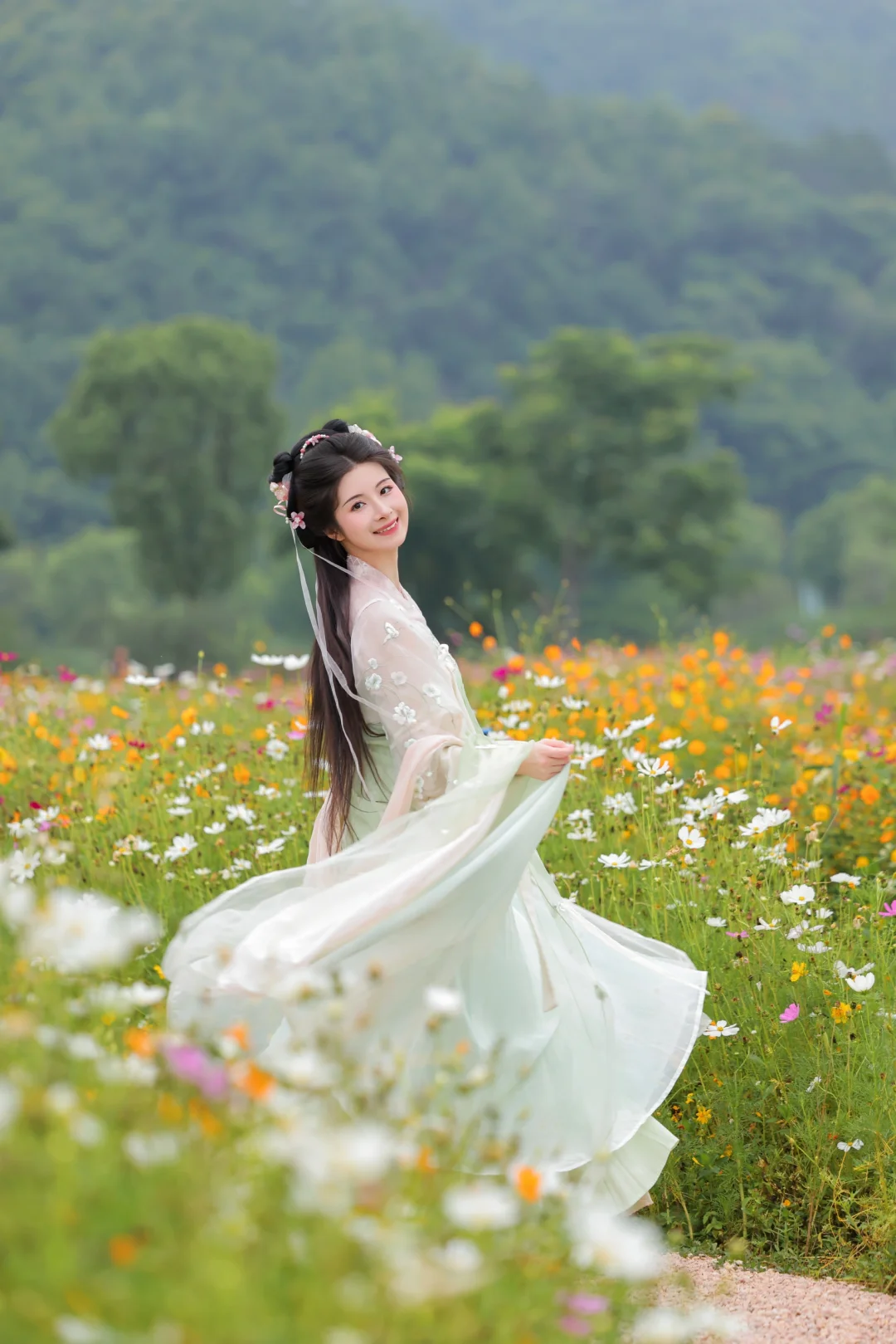 六月的格桑花海