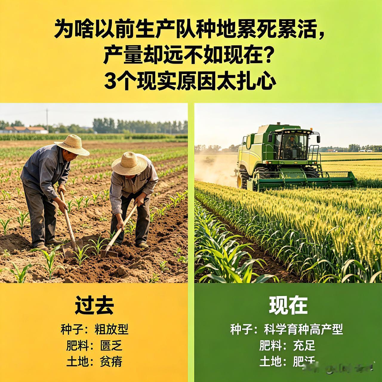为啥以前生产队种地累死累活，产量却远不如现在？3个现实原因太扎心
 
很多老一辈