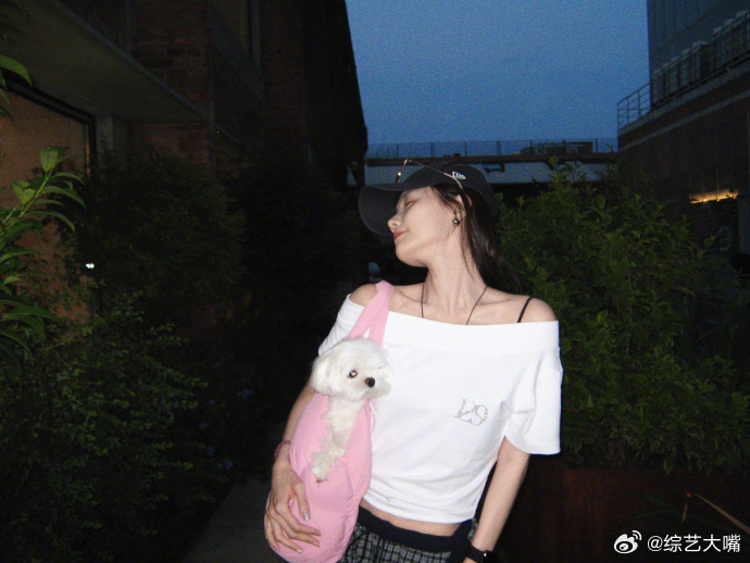 李一桐一起养个狗狗去楼下走走治愈感拉满的日常心愿，李一桐浅浅勾勒出遛狗散步的美好