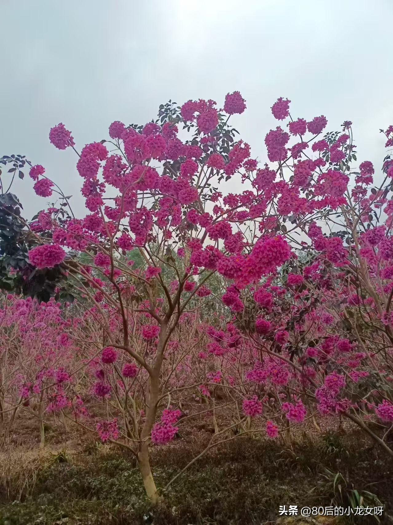 一定一定要多出去走走
外面的世界真的不一样
不要老是坐在办公室
一动不动
每天盯