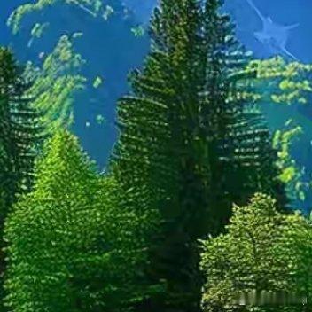 没有奇迹，只有你努力的痕迹；没有运气，只有你坚持的勇气；每一份汗水，都是你成功的