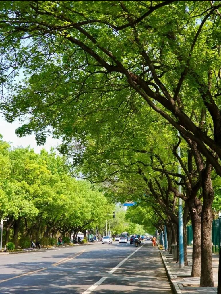 提前通知一下，
让大家有个心理准备，
10天以后，也就是7月15日9点56分正式