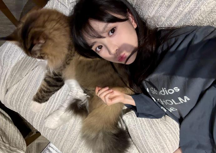 田曦薇居家撸猫live图田曦薇放出居家撸猫live随拍，动态九宫格记录和长毛小猫