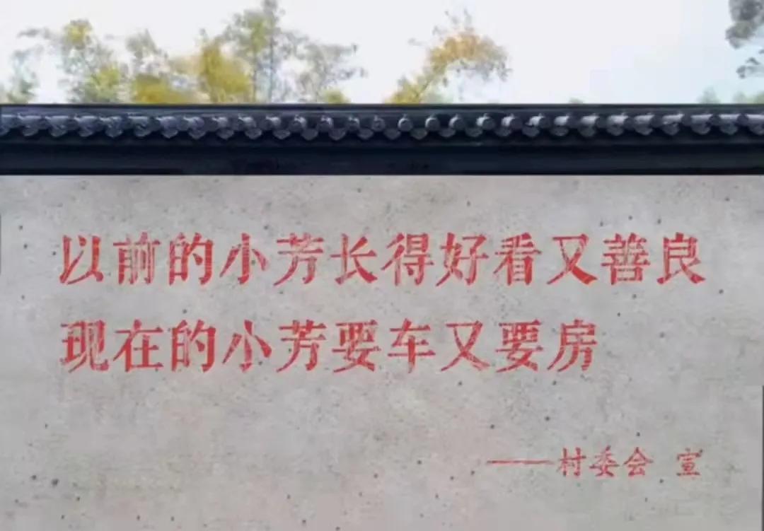 以前的小芳，头发长见识短；现在的小芳，裙子短见识长。