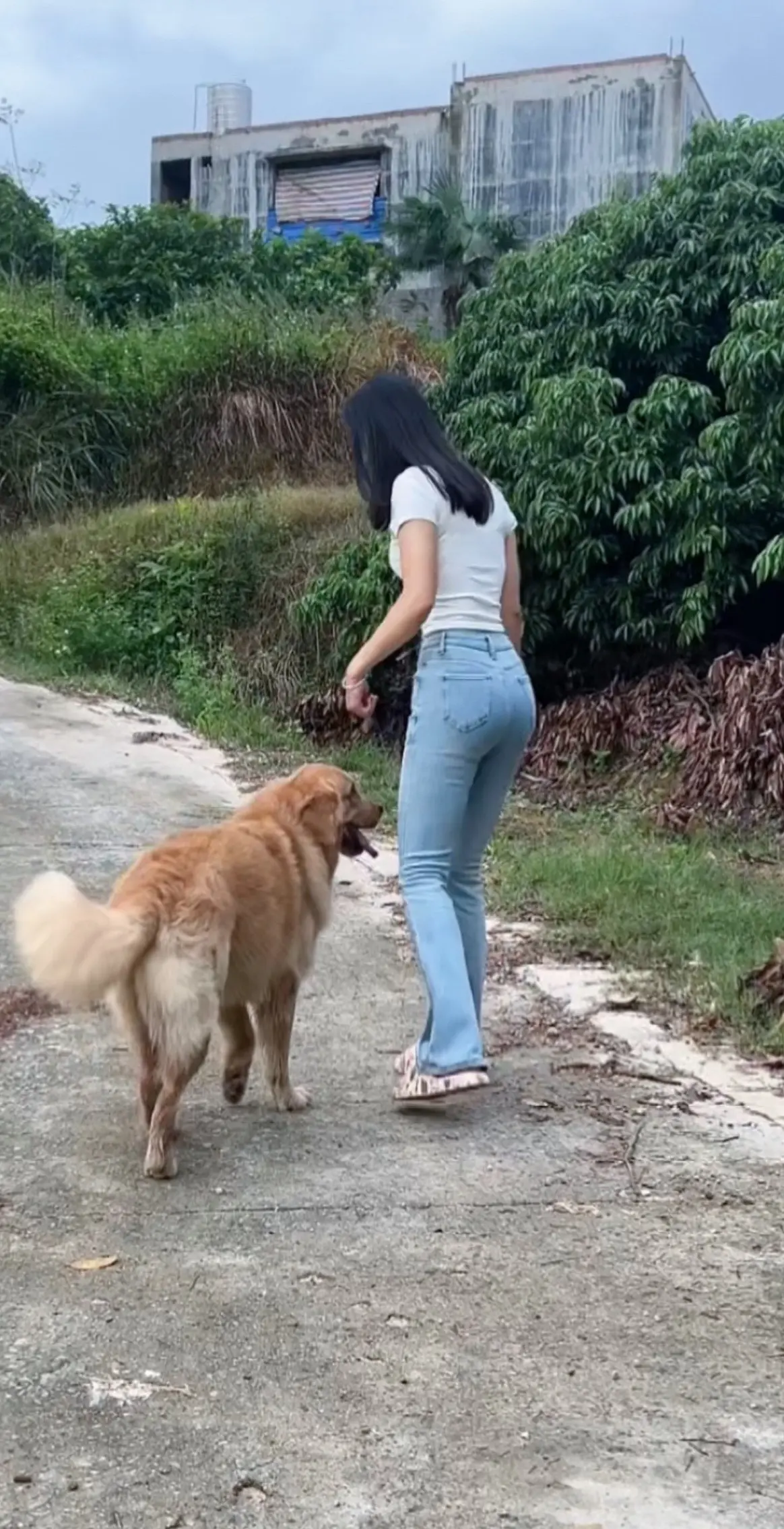 问一下你们 结婚有什么好处吗