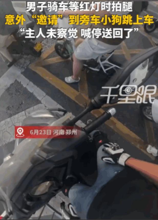 拍腿就是暗号！河南，一男子骑车等红灯，因天气炎热，他下意识地拍了拍大腿。没曾想，
