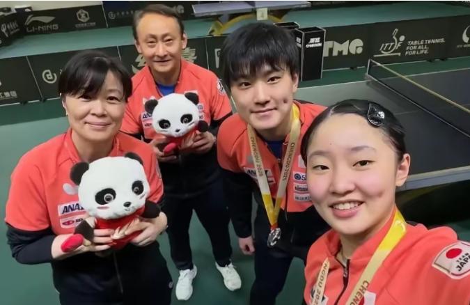这下张本宇可真是彻底乐开花了！横滨冠军赛他儿子张本智和、女儿张本美和兄妹俩全都打