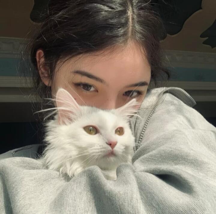 今天你换头像了吗 