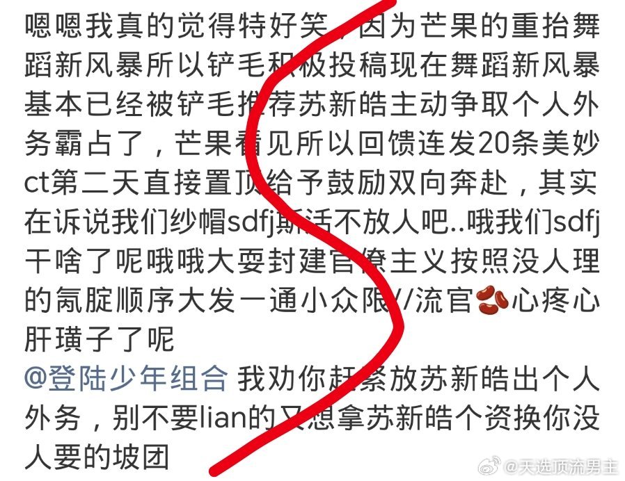 放苏新皓出个人外务！ 
