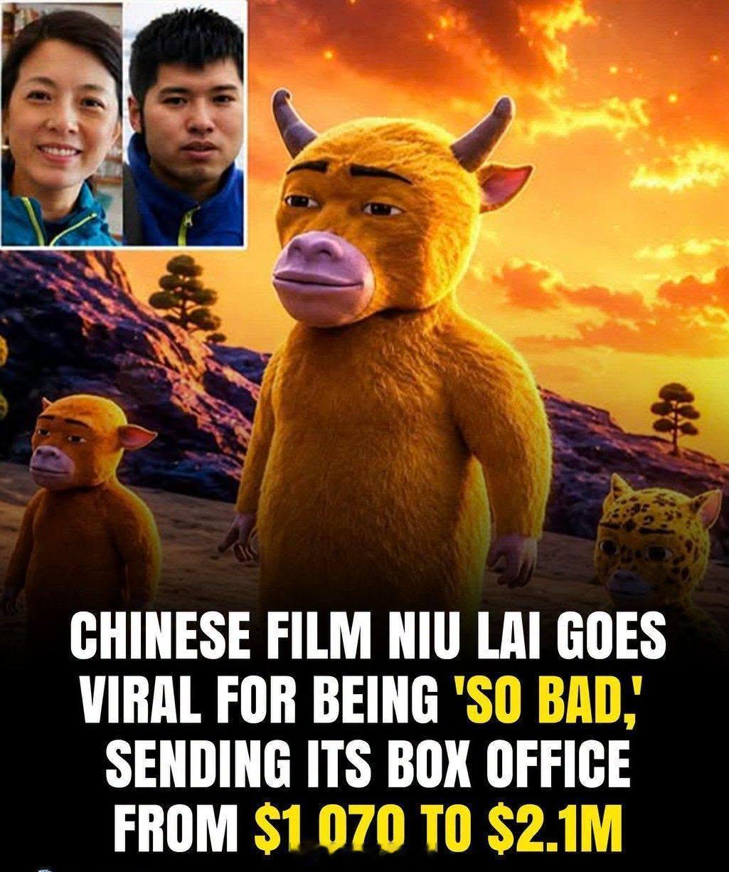 由单亲妈妈和她的儿子制作的牛来，预算为 200 美元，但票房仍超过 500 万美