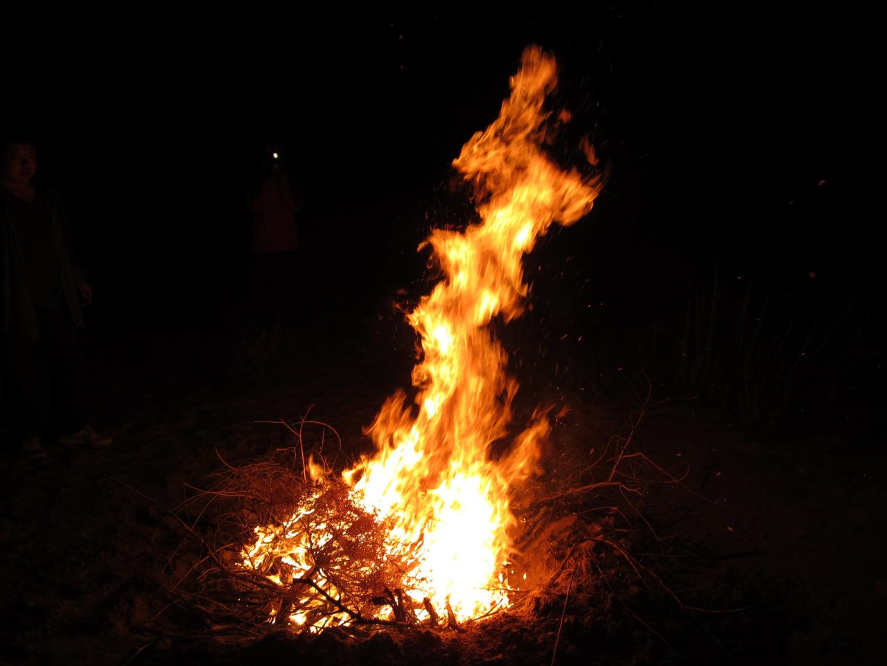 7月3日劲爆消息，波斯猫在德黑兰举行哈梅内伊遗体告别仪式，将近100个国家派代表