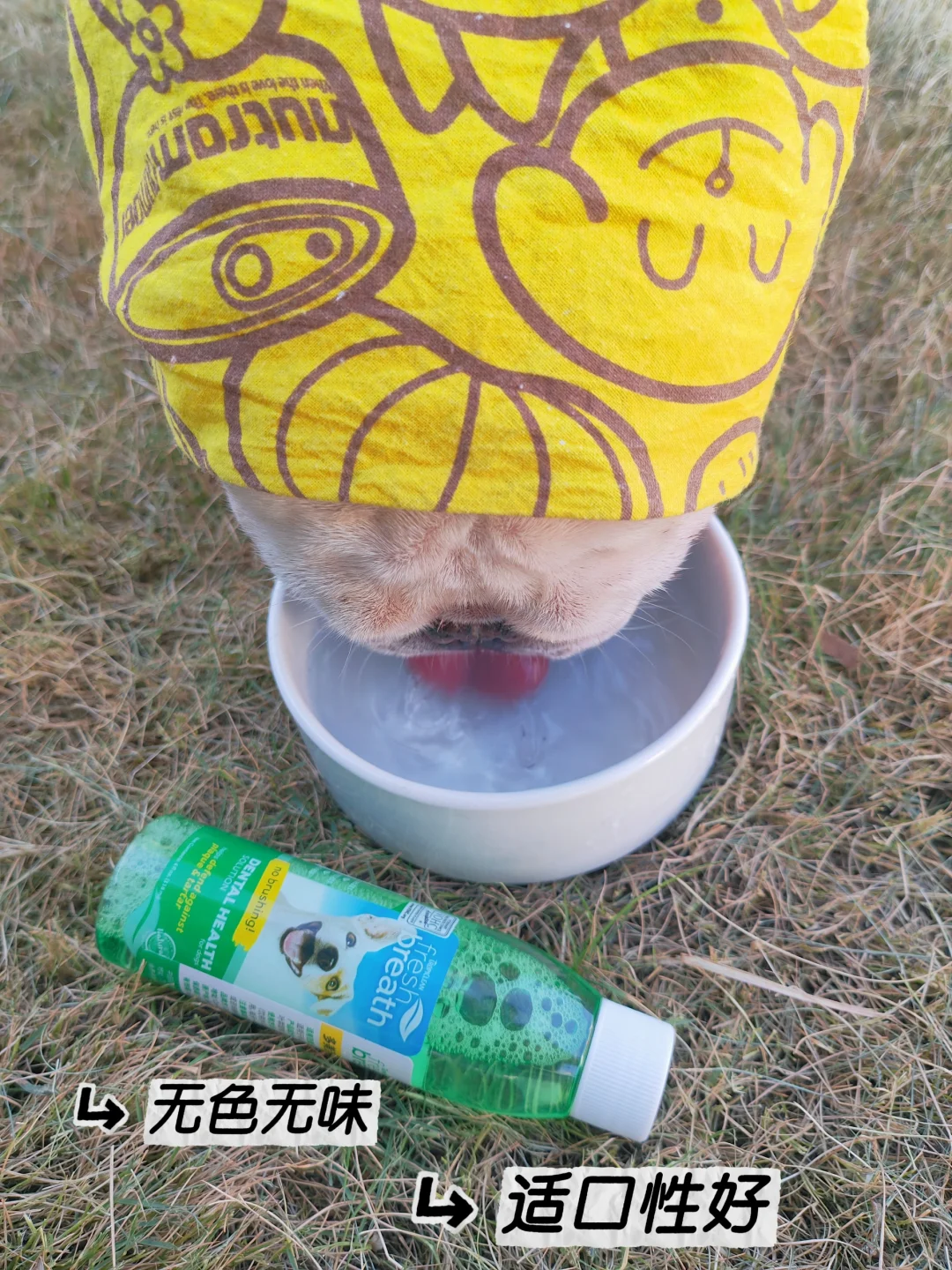 再也不是小臭狗~