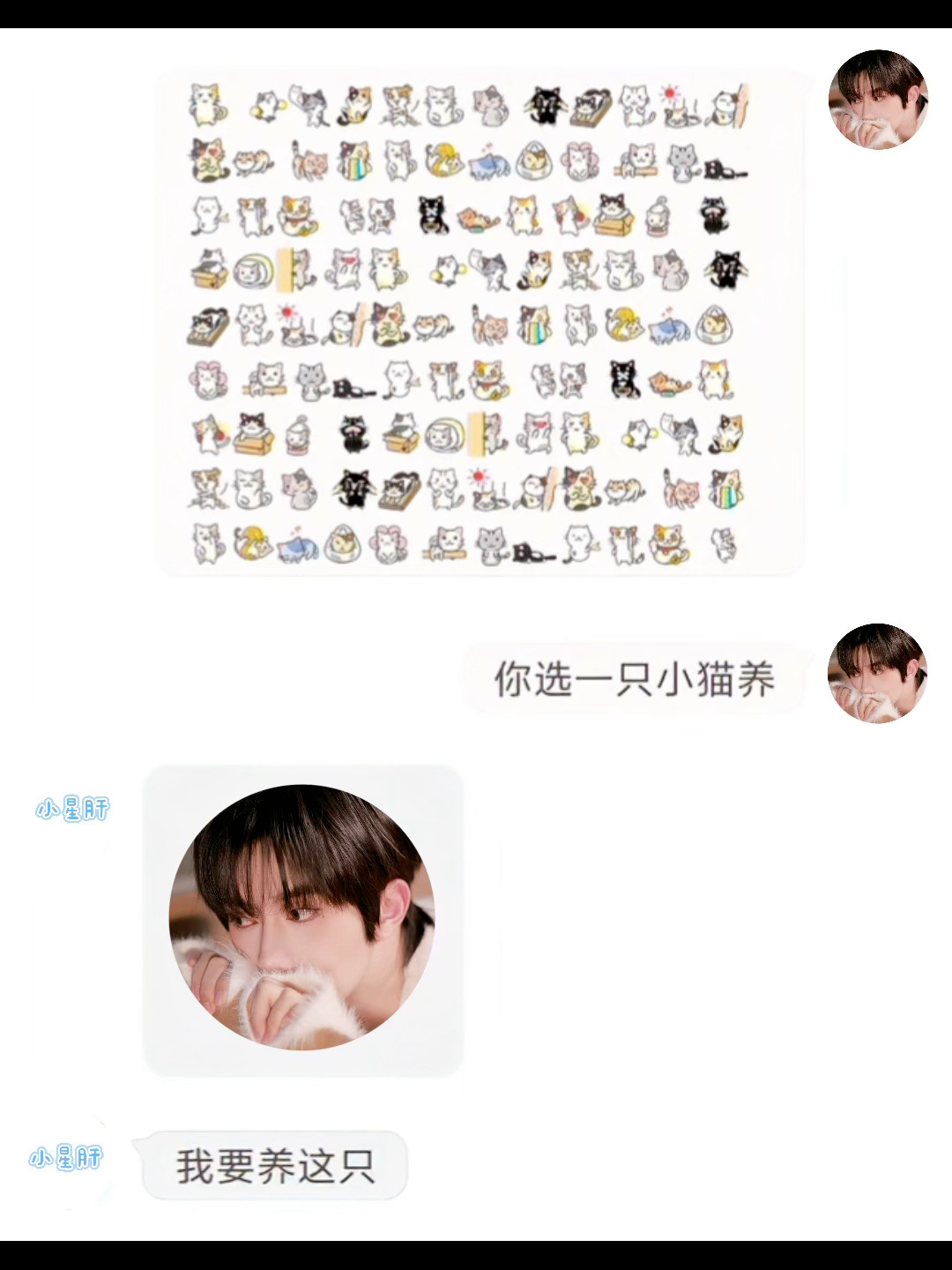 请选择你要养的小猫咪 