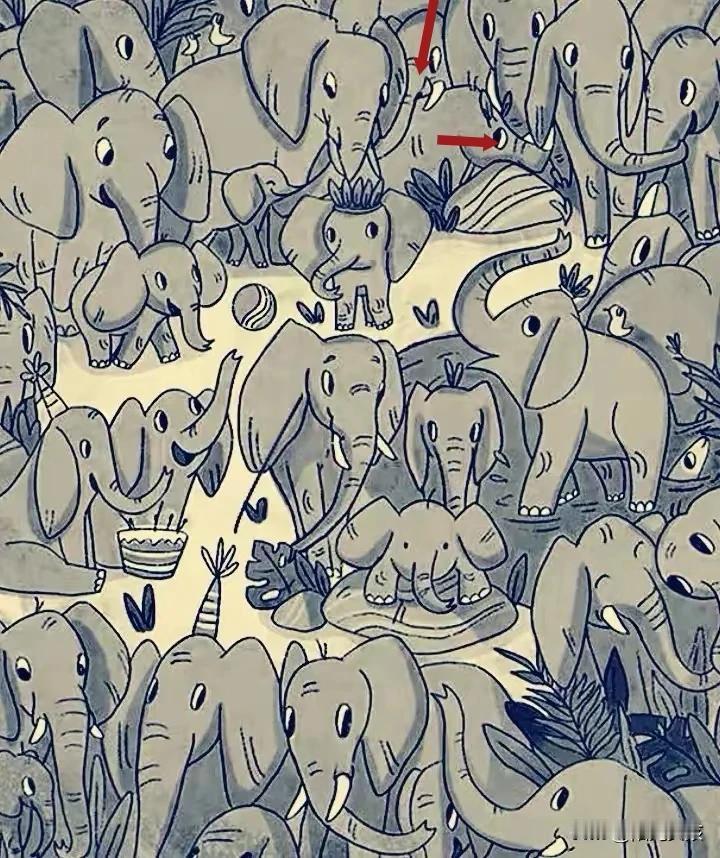 人和犀牛都找不到了。不知道對不對？