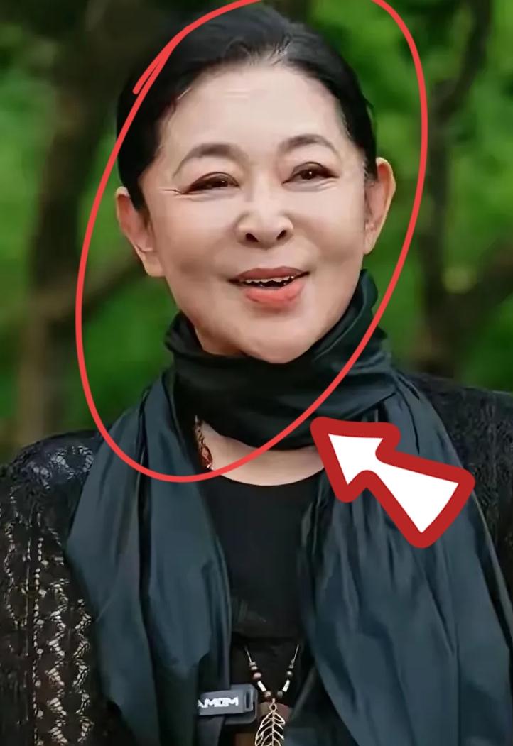 72岁的王文澜拄着拐杖，在老四合院里守来了1米97的儿子！当年那场婚变，世人只看