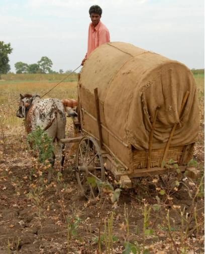 印度总理发出最后 “通牒”，如果印度没有办法在短期内得到足够的化肥保障，那么十几