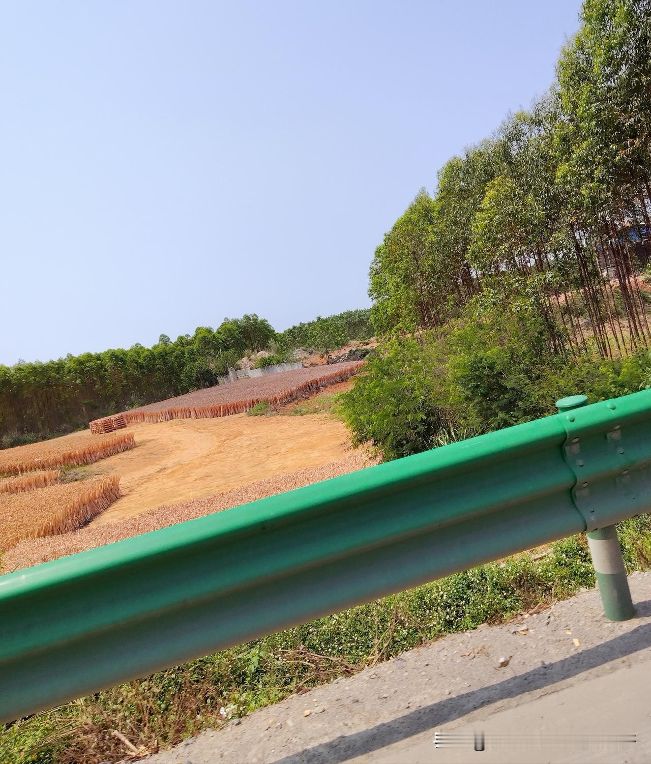 我发觉一个奇怪的现象，一些夫妻过着过着，婚姻的本质就变了，变得不像夫妻，好像同一