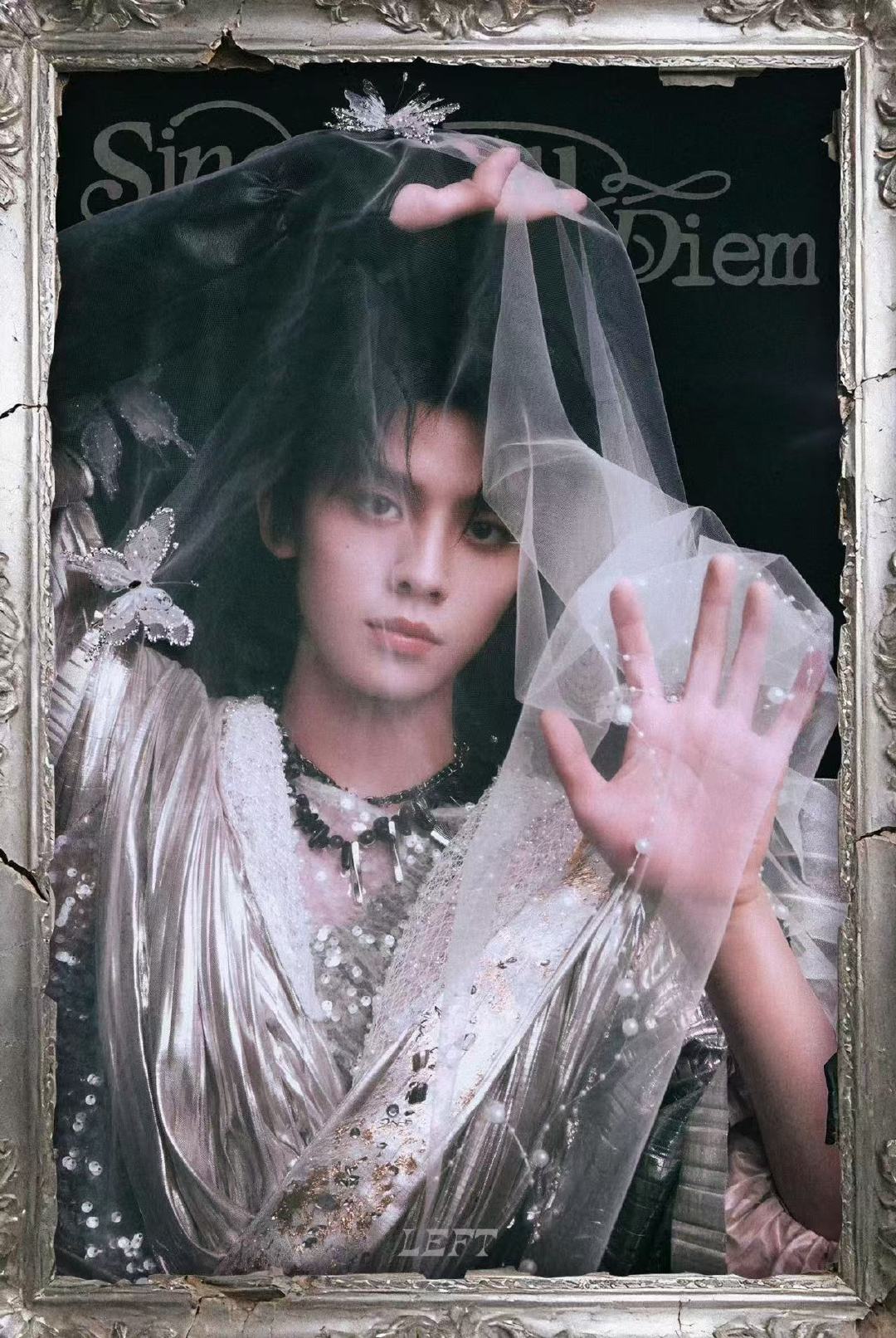 登陆少年头纱造型登陆少年头纱 登陆少年头纱 