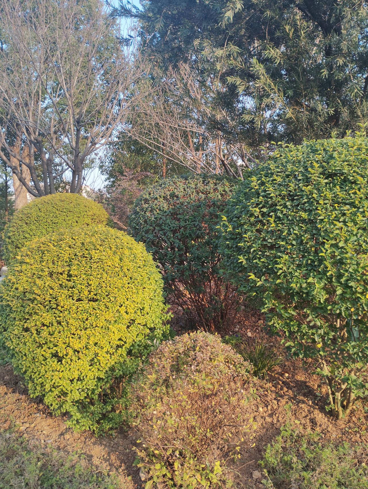 请用一句话概括一下，什么是幸福幸福其实很简单。就在自己的感知中，并不需要用别人的