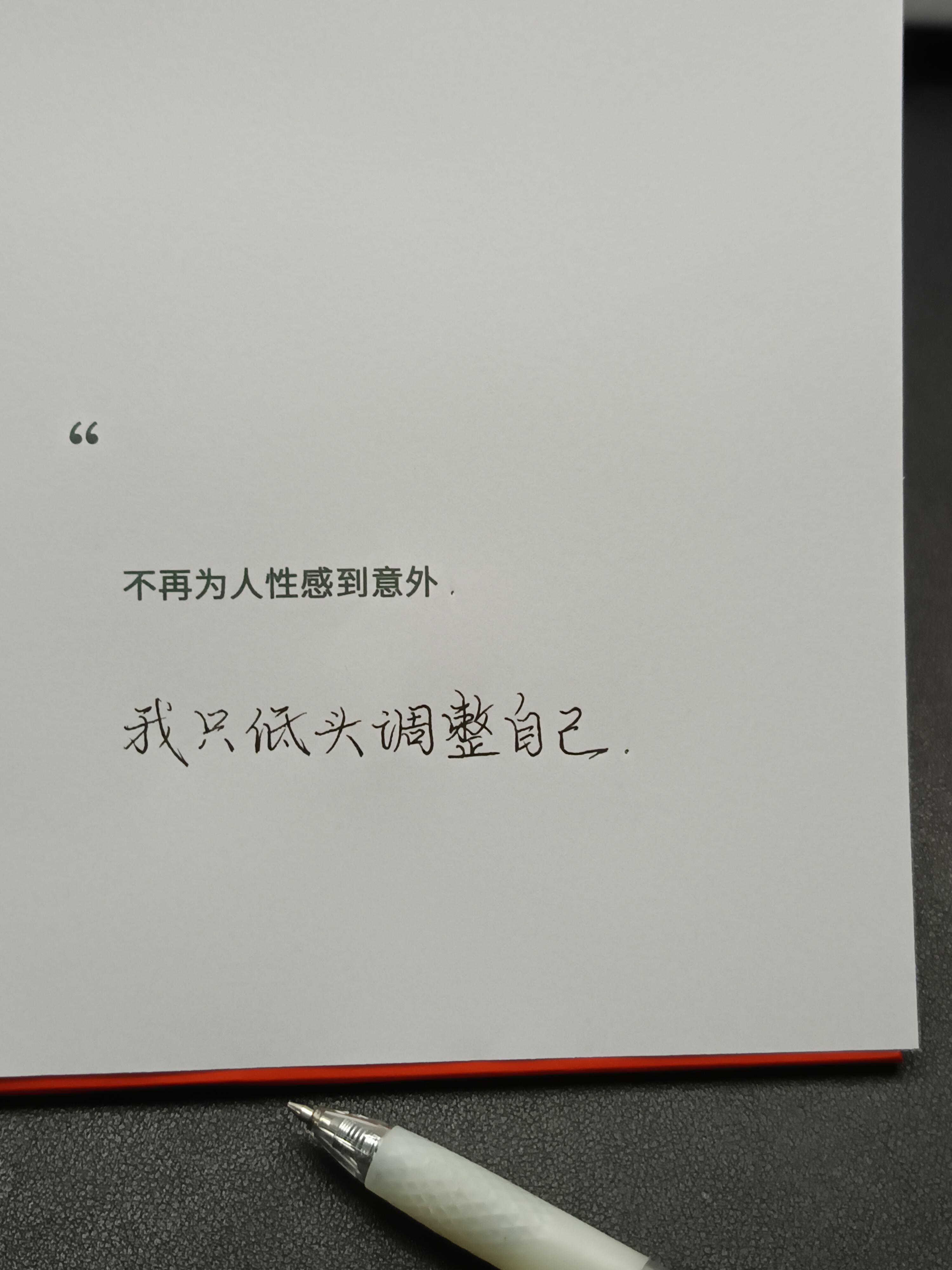 不再为人性感到意外，我只低头调整自己。 