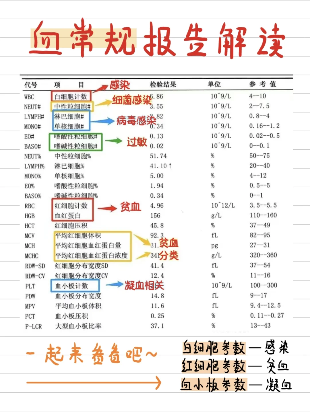 血常规报告怎么看👀（共五张）