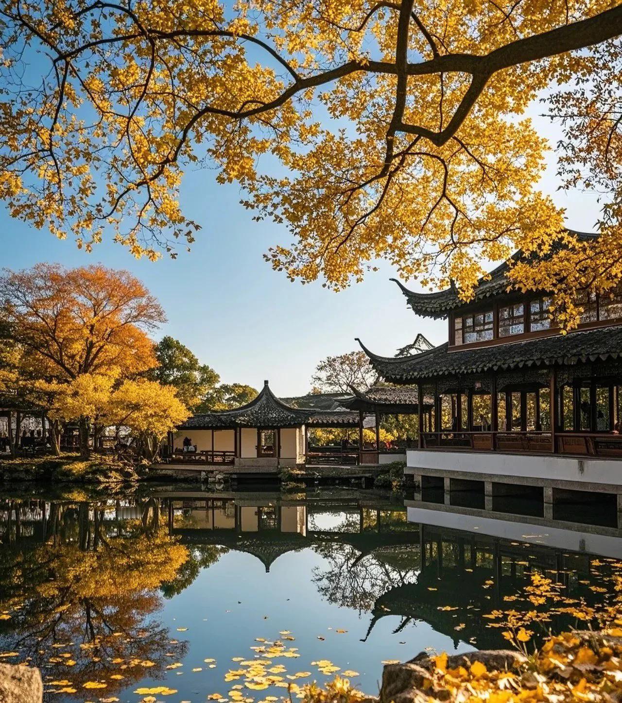 初冬的拙政园。比北平还美。