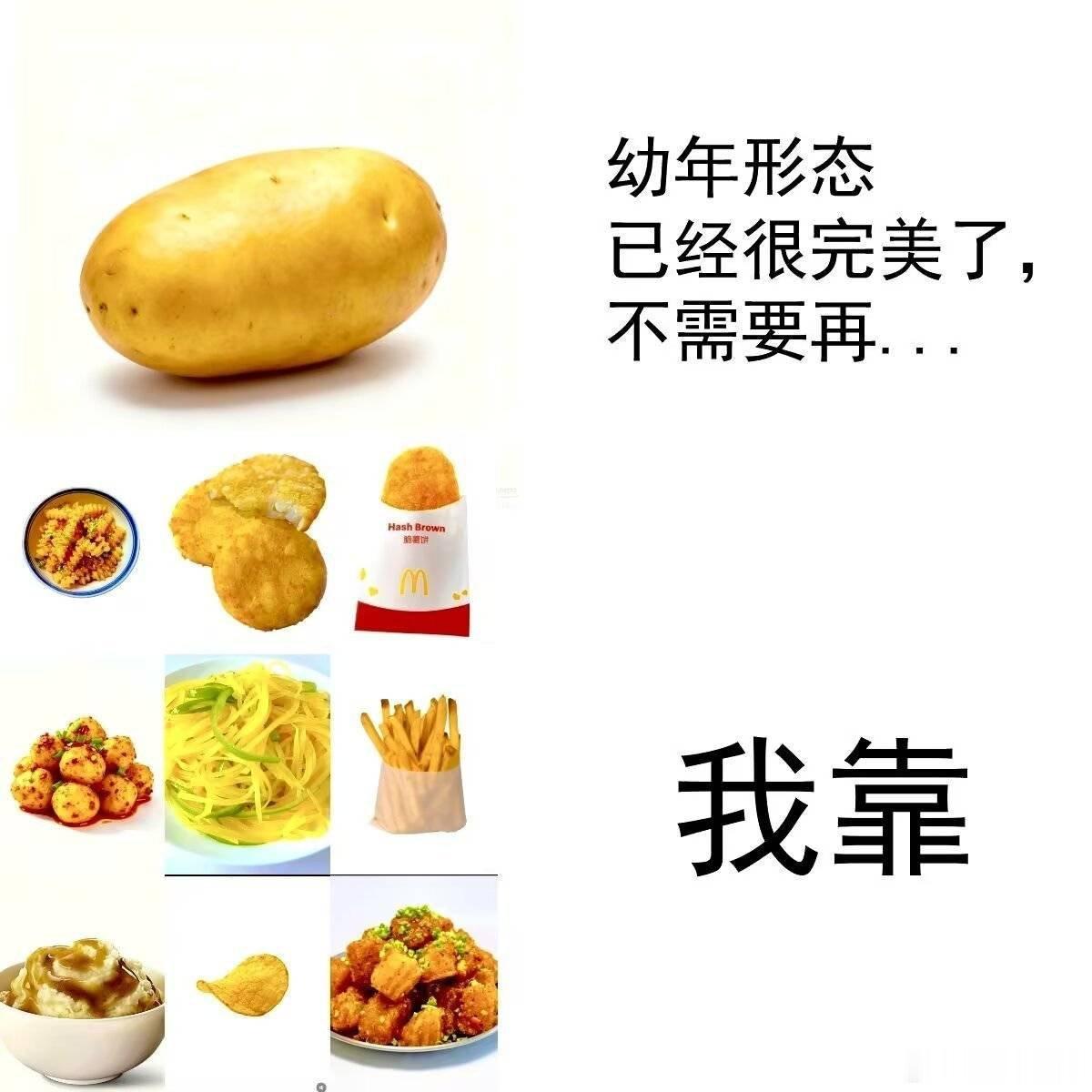 幼年形态已经很完美了...workout！幼年形态已经很完美了