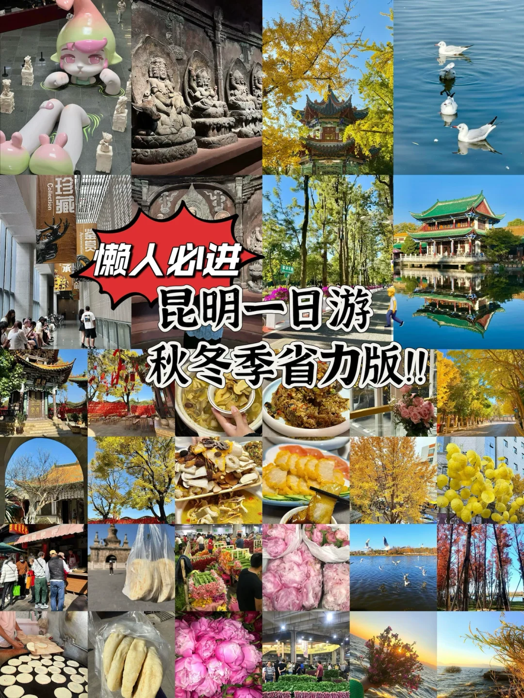 2024旅行结算｜昆明一日游省力版！！（懒人进）