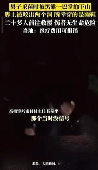 重庆村民上山采菌遭黑熊袭击，靠雨靴保命！9月23日，李某带着狗进山捡菌子，突然狗