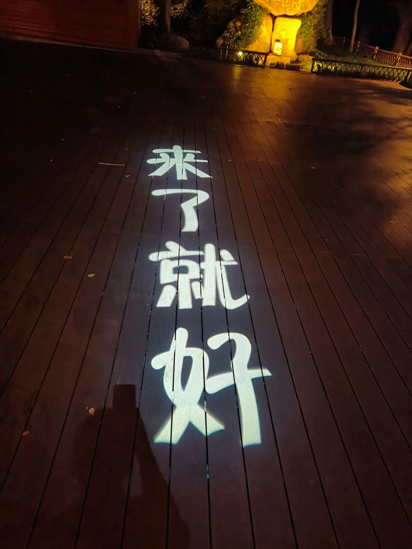 朋友，又见面了。 跟大家分享一个巧合的小故事～《朋友的到来》 2024...