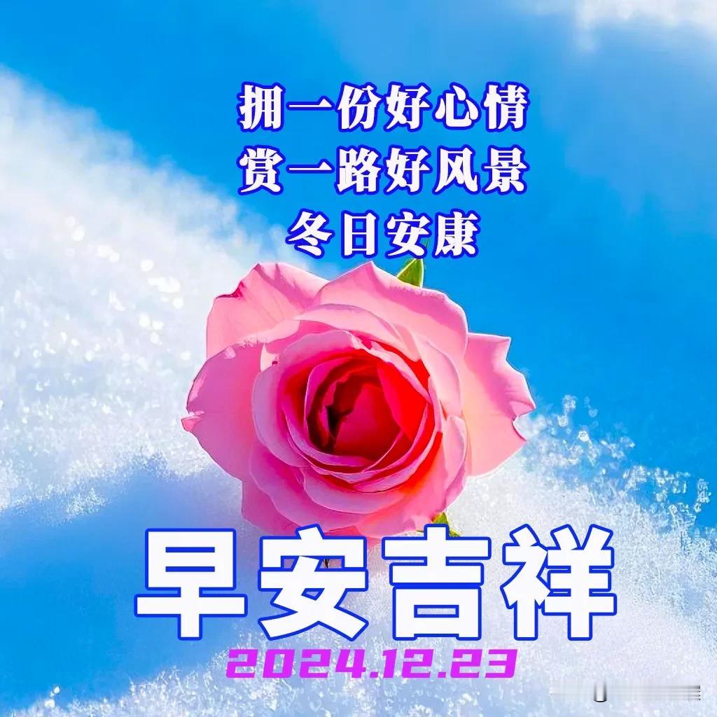 2024.12.23  农历甲辰年十二月廿三，周一【🌹每日心语】
时光匆匆，岁