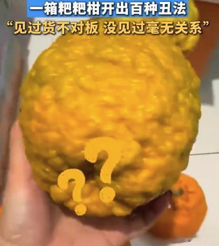 近日，一女子网购一箱粑粑柑水果，开箱后傻眼，一箱粑粑柑开出百种丑法。后跟商家联系