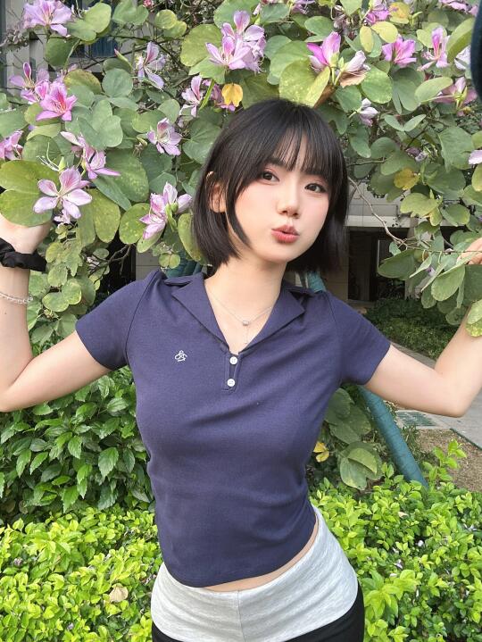 楼下盛开的紫荆花好美💜