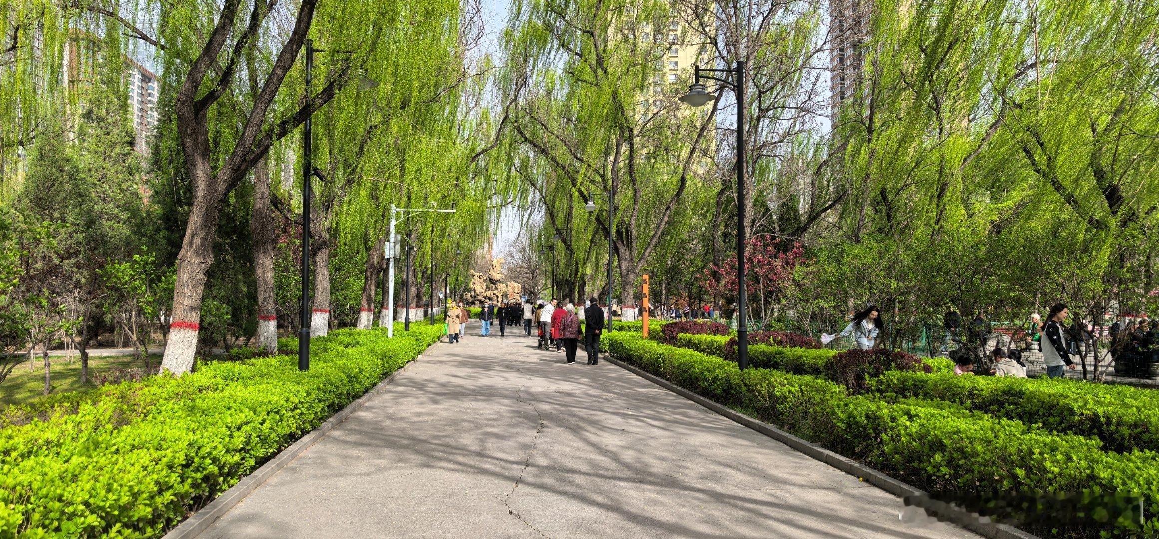 此刻，迎着阳光慢慢走太原龙潭公园 