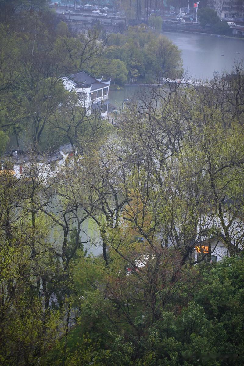 春日里雨中的合肥包公园，
像浮在水上的梦，大美！[星星眼]