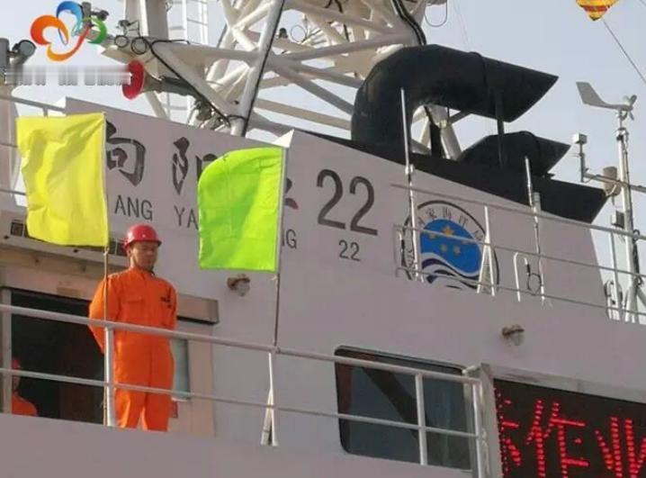 听说了吗？最近中国科考队乘坐“向阳红22”号船专门调查在近海海鸟和鲸豚，还真拍到