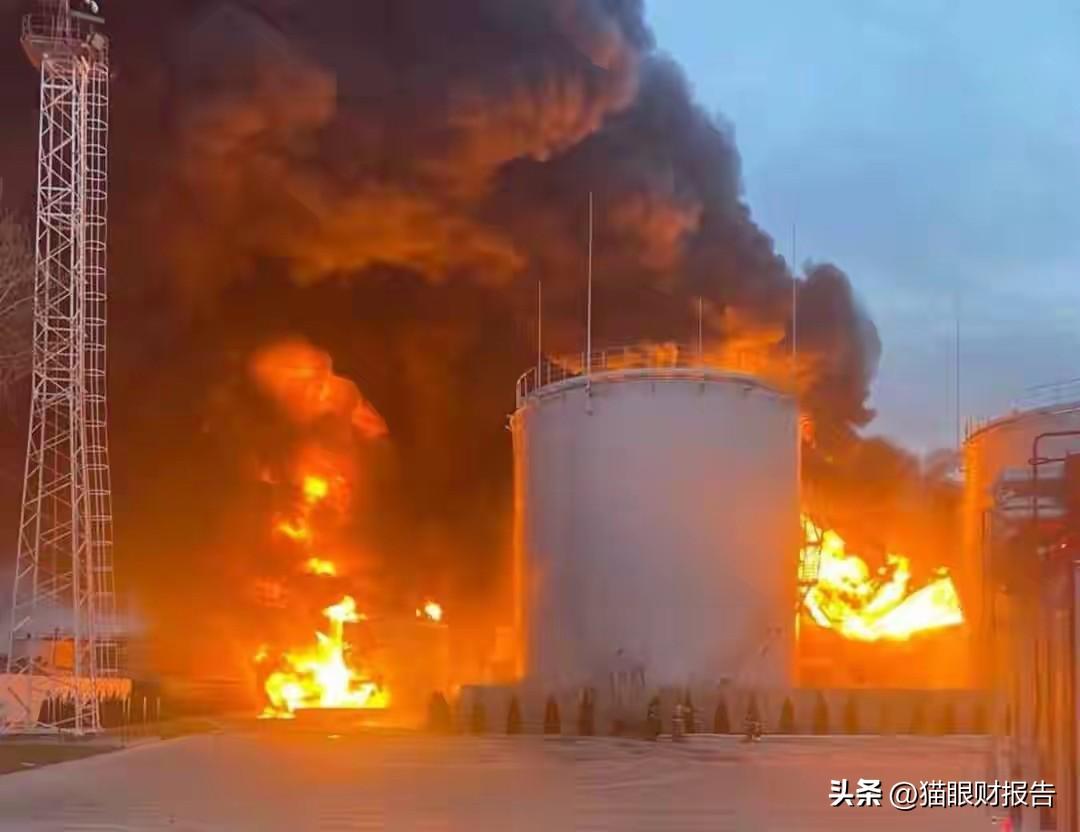 泽连斯基当着全球媒体的面，承认搞砸了，乌克兰全国爆发抗议游行

费多罗夫前脚递了