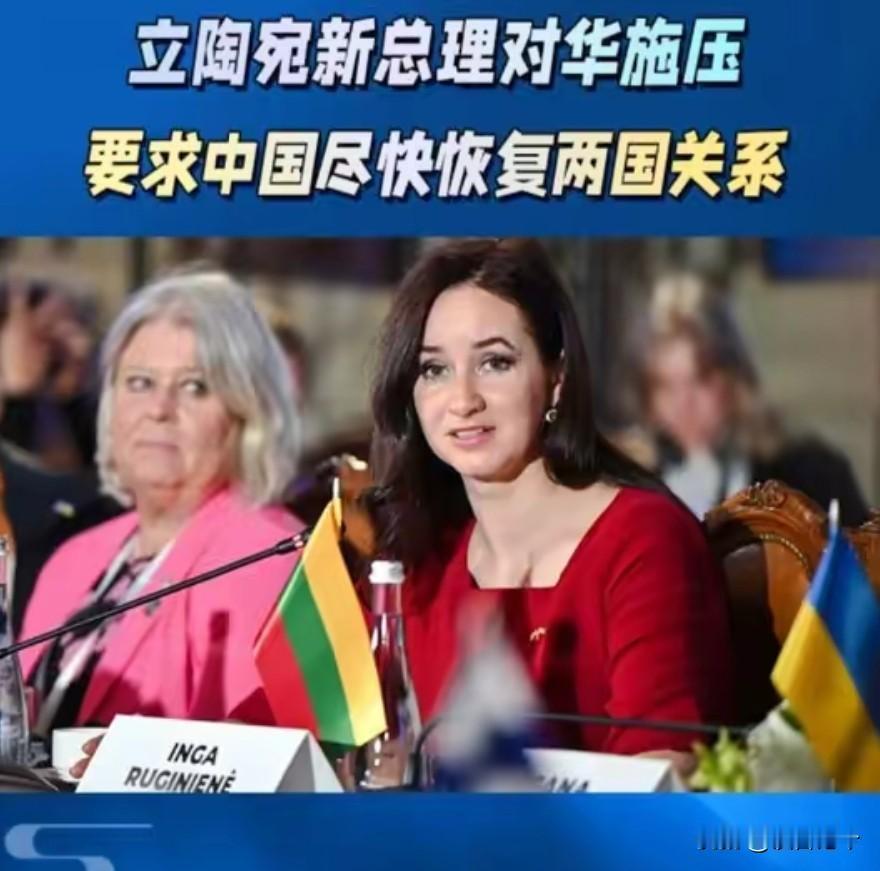 比短剧女主更自恋的立陶宛：我们决定再给中国一次机会，望中方不要沉默，跟我们和好！