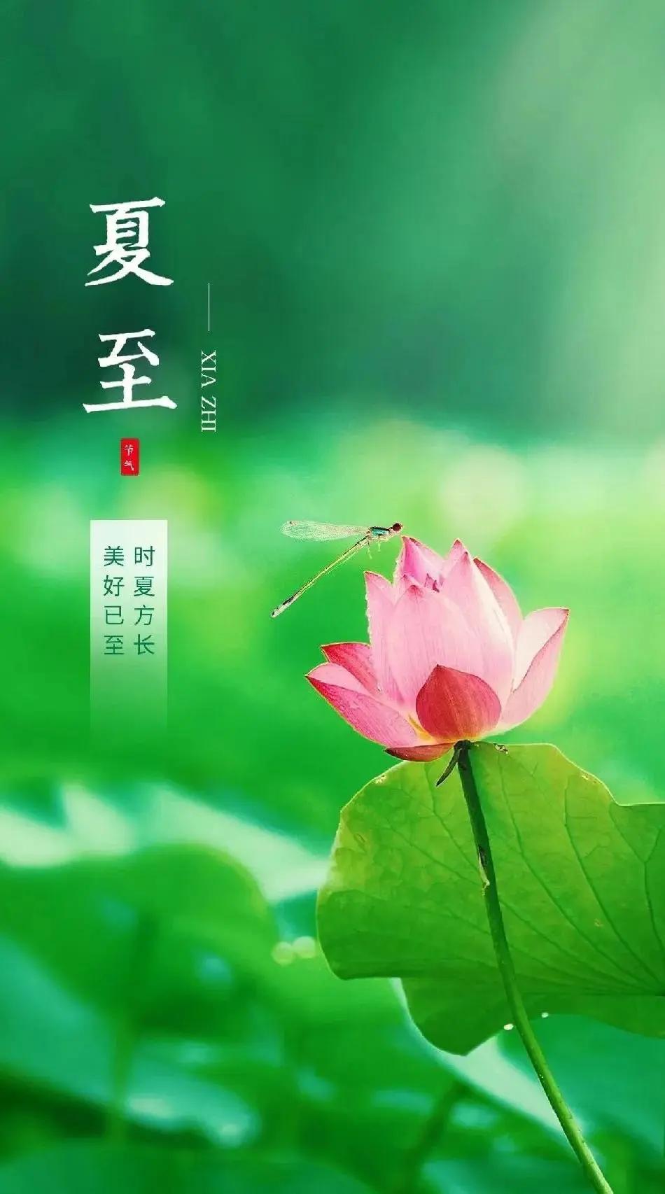 今日正值夏至，夏至过后，白昼便会一天比一天短。而冬至之后，白昼则会一天比一天长。