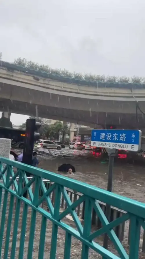 惊险！郑州多地积水，市民在洪水中命悬一线