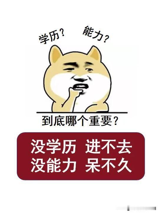 🧱 学历是“敲门砖”

在求职初期，学历是HR快速筛选简历的硬指标。

* 入